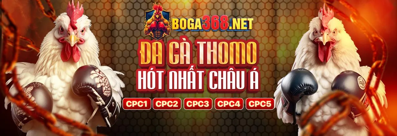Đá gà trực tuyến 90ok