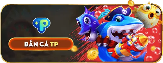 Giấy phép và Bảo mật