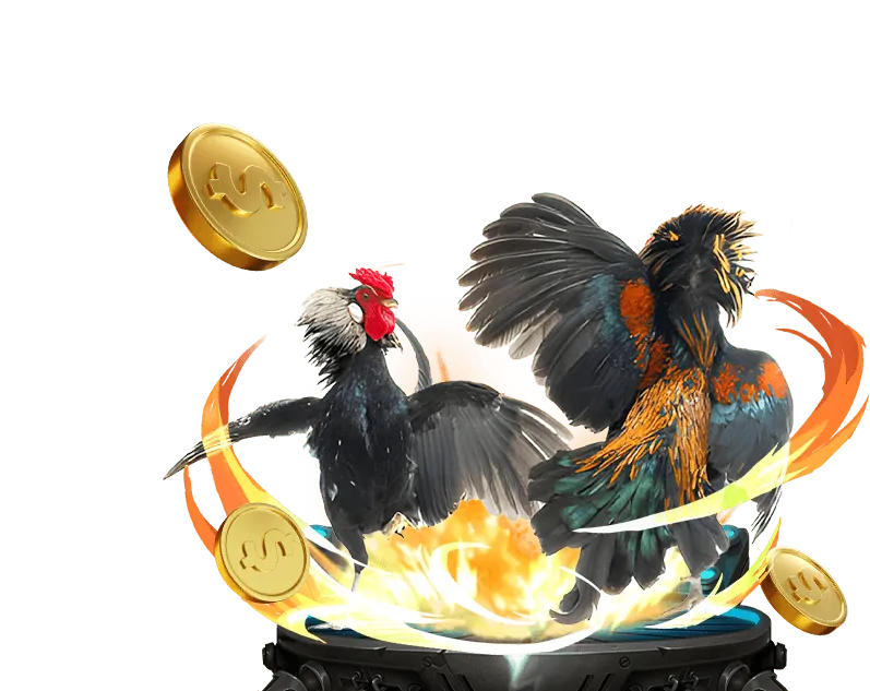 Tổng quan nền tảng 90ok Casino